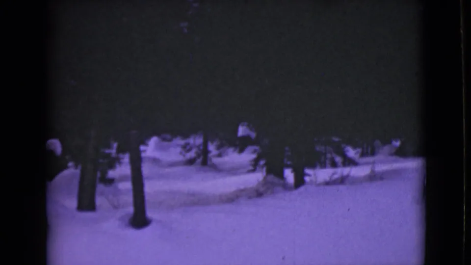 1946 Alaska 8mm frame showing deep snow, dark evergreen trees, and a dim winter sky with a purple film cast.