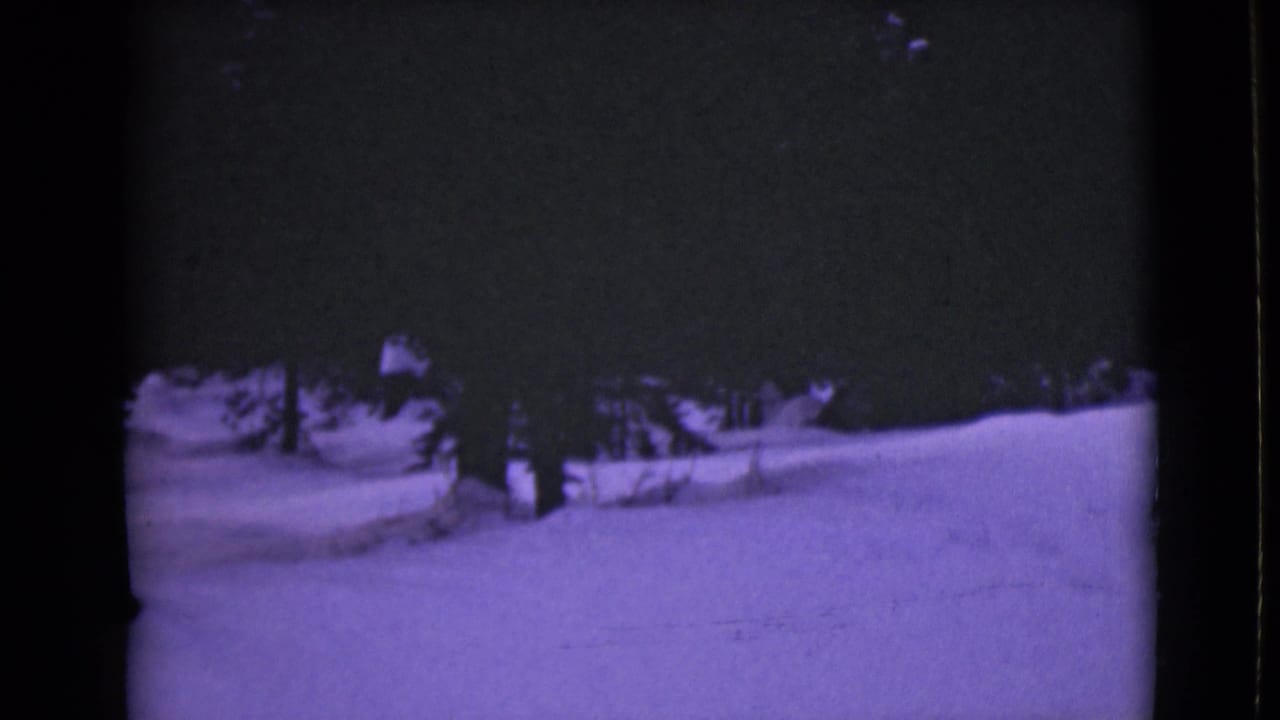 Snowy ground and dark tree line with faint tracks across the frame.