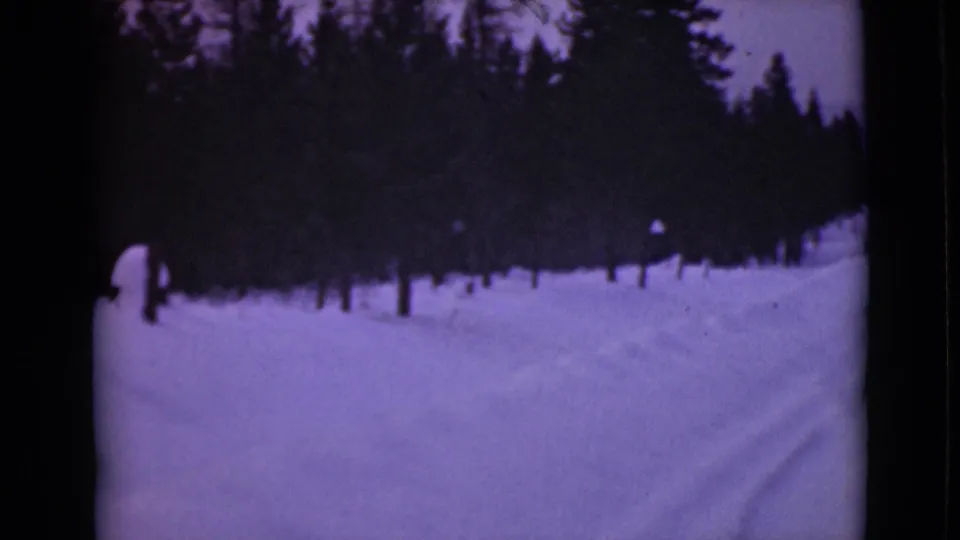 1946 Alaska 8mm frame of a snowy forest road curving past dense pines, with a dark distant upright person or object at left.