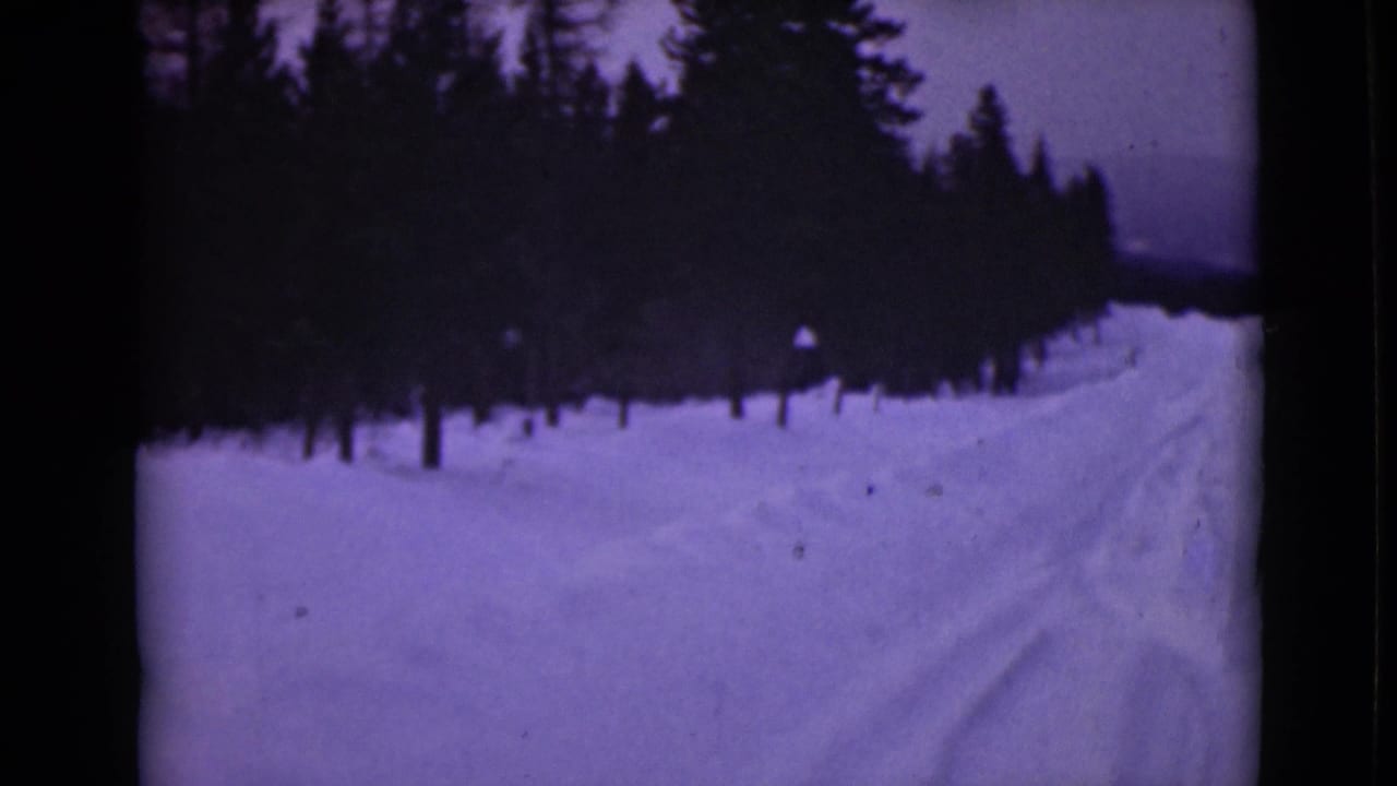 Snow-covered forest road with tire tracks and dark evergreen trees.