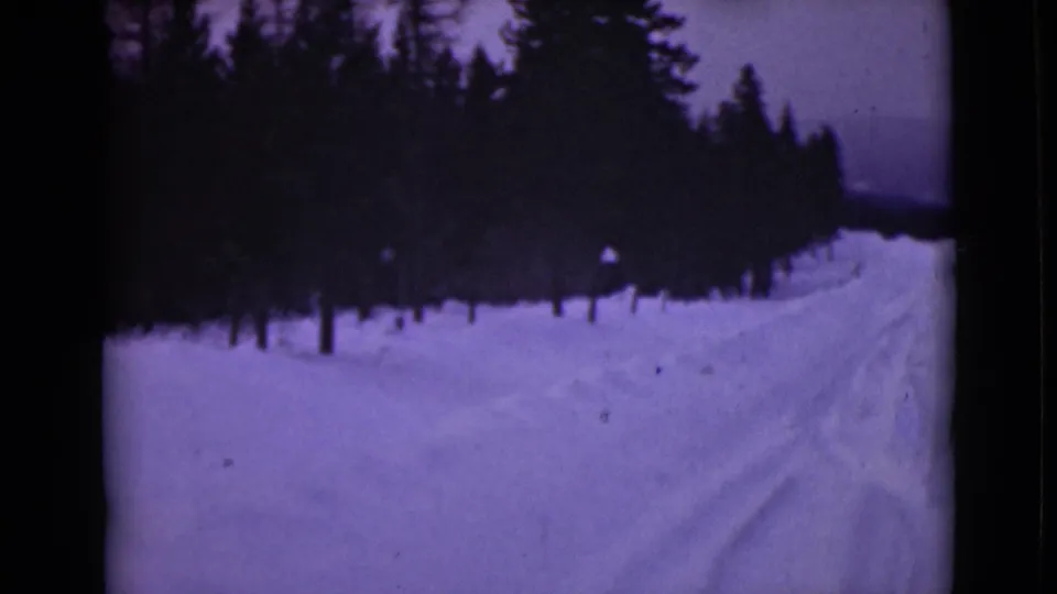 1946 Alaska 8mm frame showing a snowy road through dark evergreen forest under a muted winter sky.