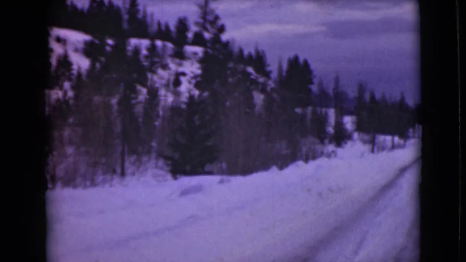 1946 Alaska 8mm frame showing a snowy roadside, mixed trees, and a forested hill seen from a vehicle.
