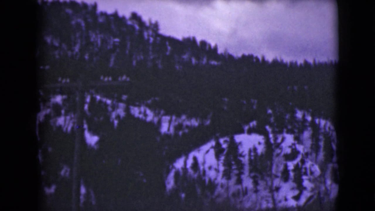 Snowy forested mountain slope beneath a muted sky in an 8mm frame.