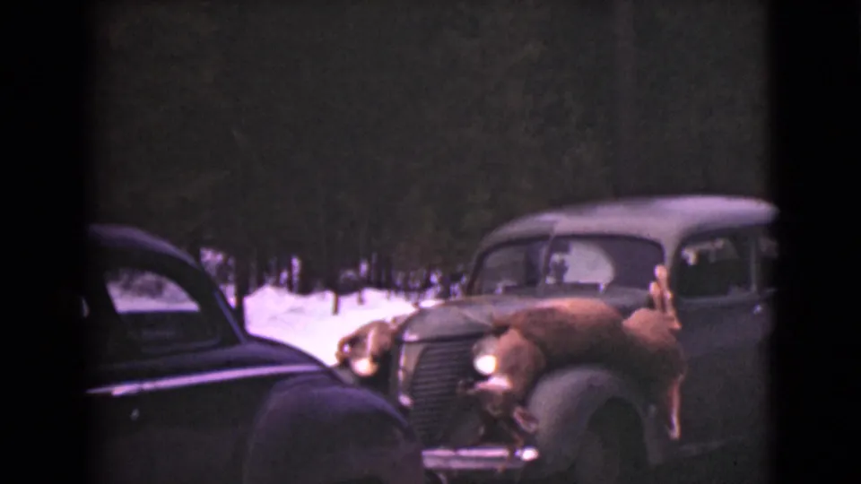1946 Alaska home-movie frame of parked vintage cars in snow, including one car with a deer mounted across its hood.
