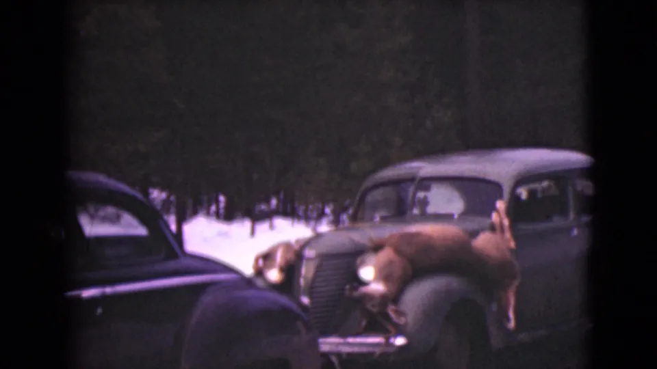 1946 Alaska frame showing vintage cars parked near snow, with a deer visible on one hood and trees in the background.