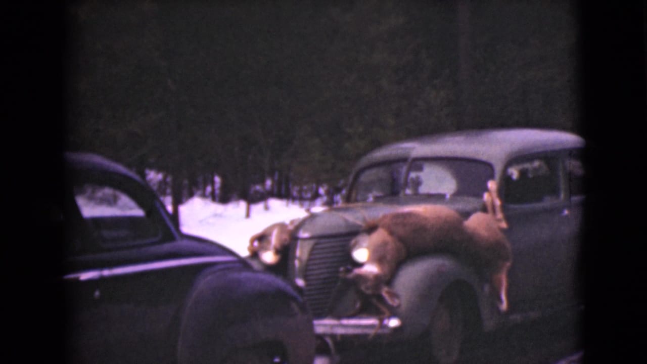 Two classic cars in snow with a deer laid across the hood of the right car.