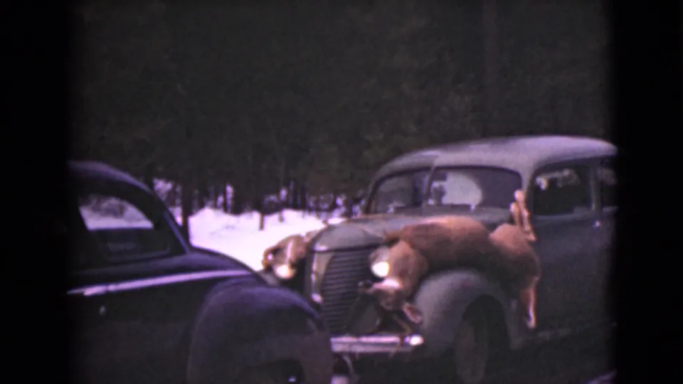 1946 Alaska 8mm frame showing parked classic cars near snowy woods, with a deer laid across the hood of one car.