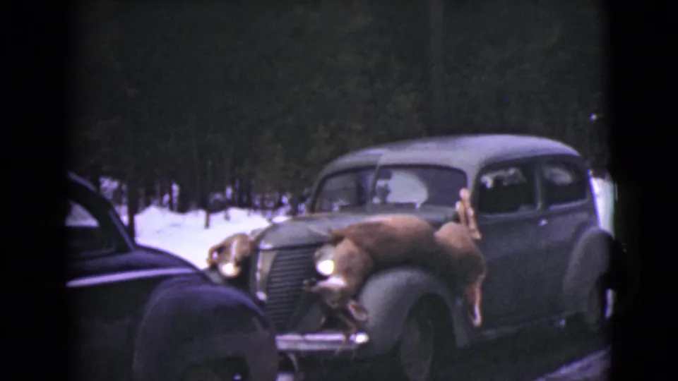 Final 1946 Alaska frame of vintage cars in a winter landscape, centered on a deer laid over the hood of the right vehicle.