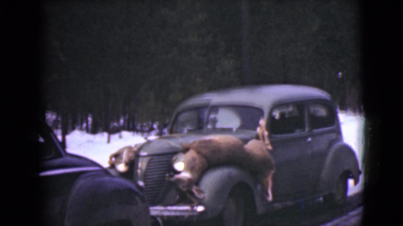 Two deer fastened across the hood of a dark vintage sedan on a snowy forest road.