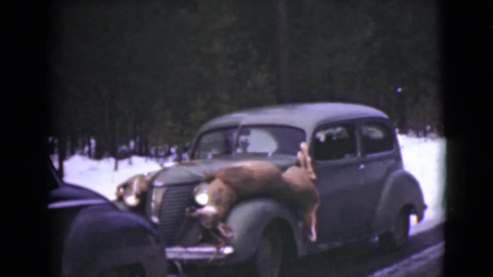 1946 Alaska home-movie frame of two deer tied over the hood and bumper of a dark sedan in a snowy wooded setting.