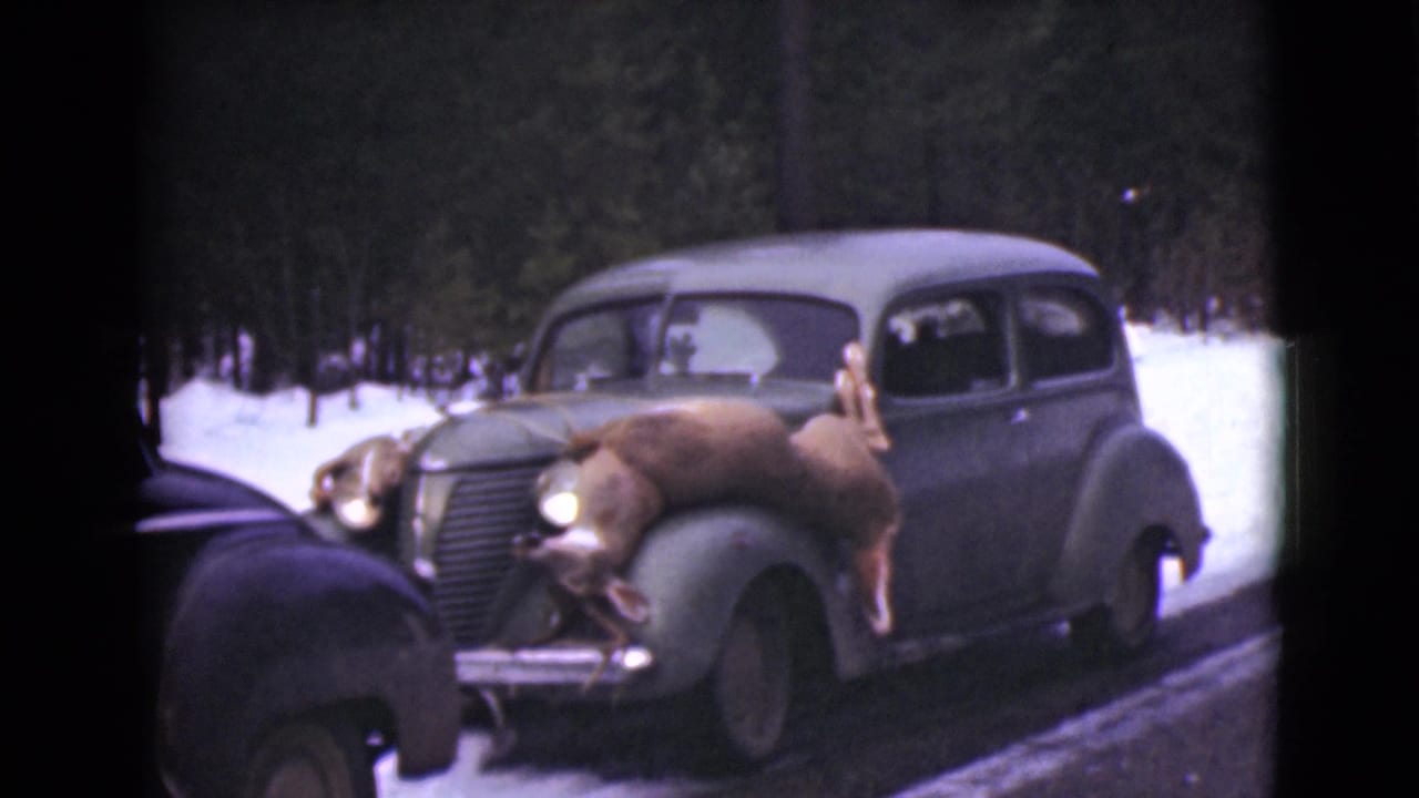 Vintage car in snow with a moose mounted on the front fender.