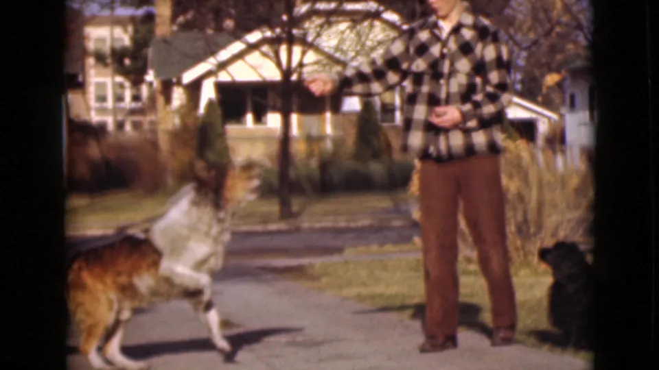 1946 Alaska home-movie frame showing the larger dog stretching up for a treat from Fred while the black dog remains seated nearby.