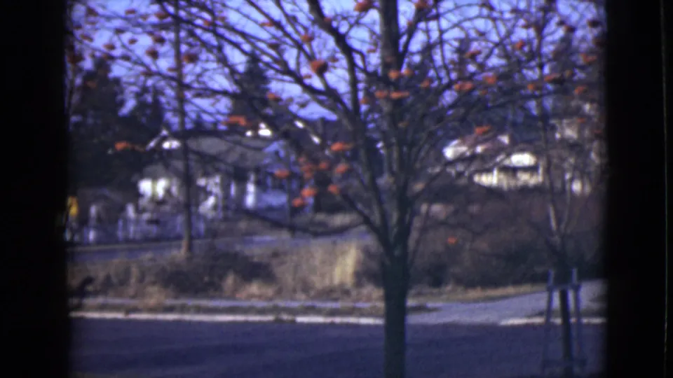 1946 Alaska residential view with a bare tree in the foreground and white sloped-roof houses behind a roadside strip.