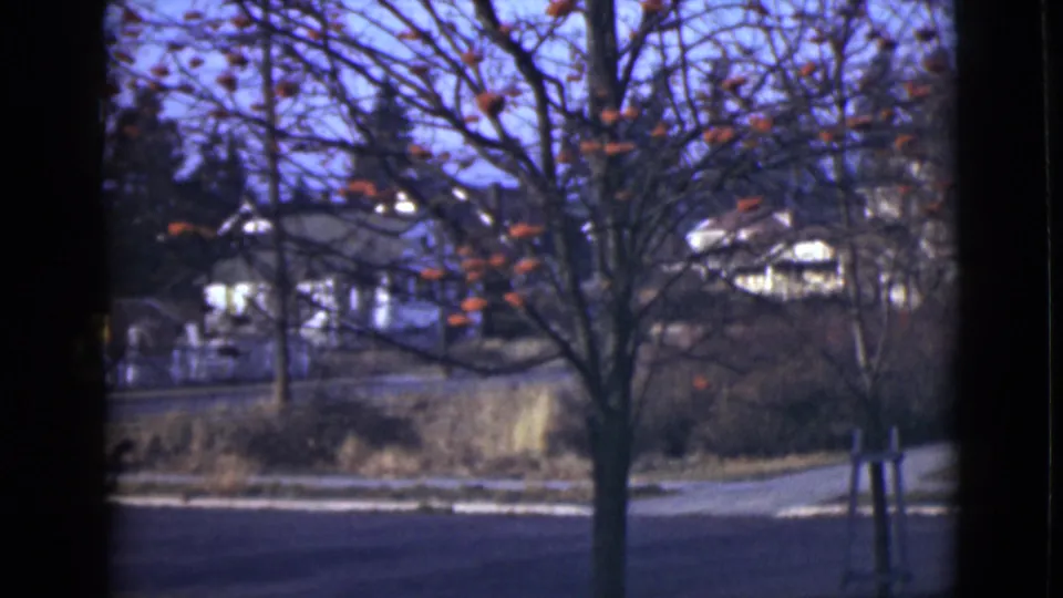 1946 Alaska home-movie frame of a quiet road, a leafless tree with orange foliage, and white homes in soft focus.