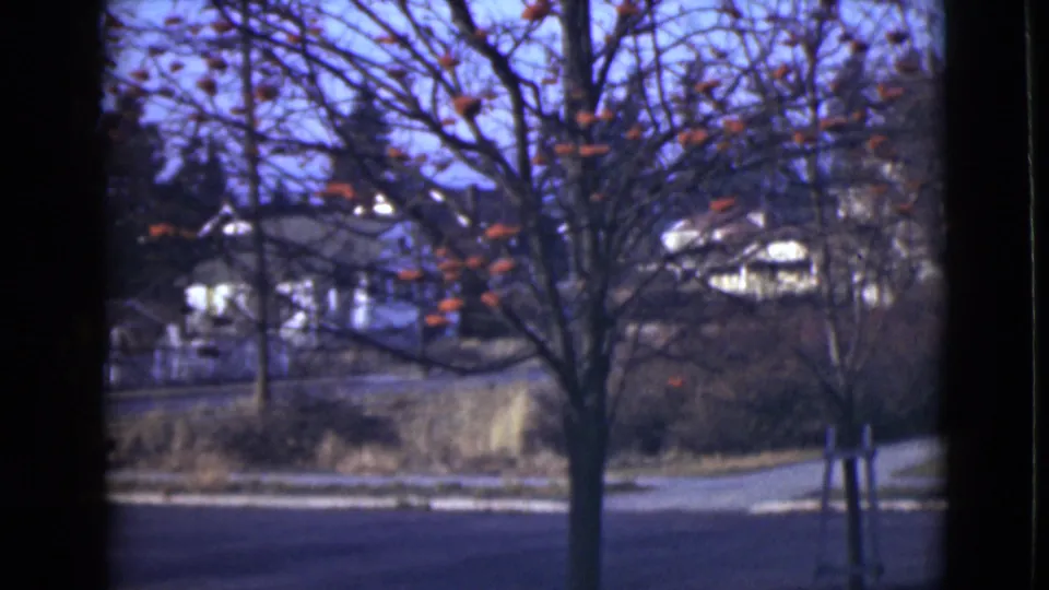 1946 Alaska residential exterior with a leafless tree in front of white houses and a quiet road under a pale sky.