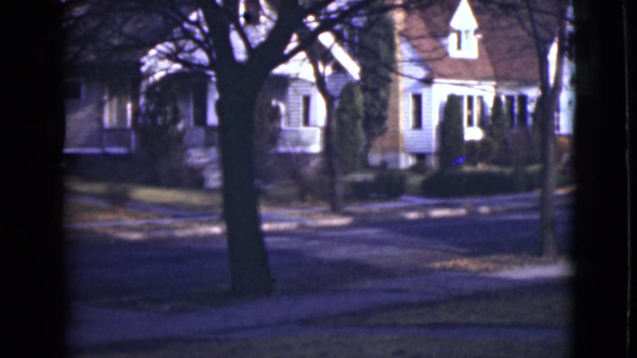 Quiet residential street framed by dark tree trunks with white houses and bare trees beyond.
