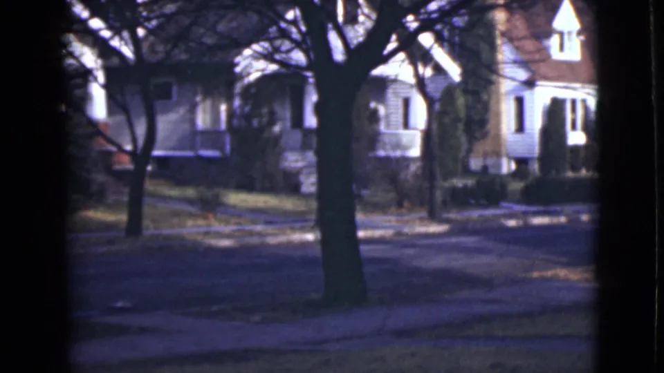 1946 Alaska residential street view with bare trees, shadowed trunks, lawns, and white houses set back from the road.