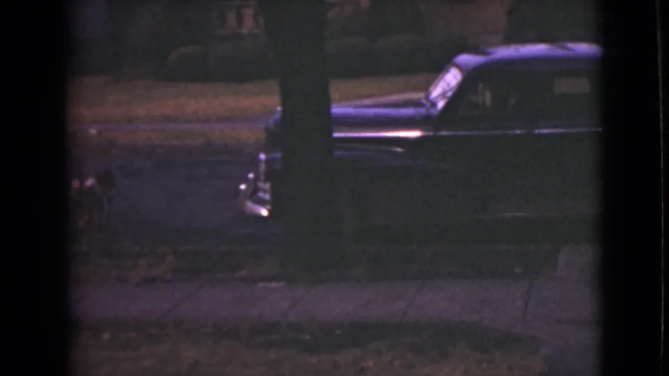 The small dog appears at the left edge as a dark vintage car sits beside the sidewalk in the residential street scene.