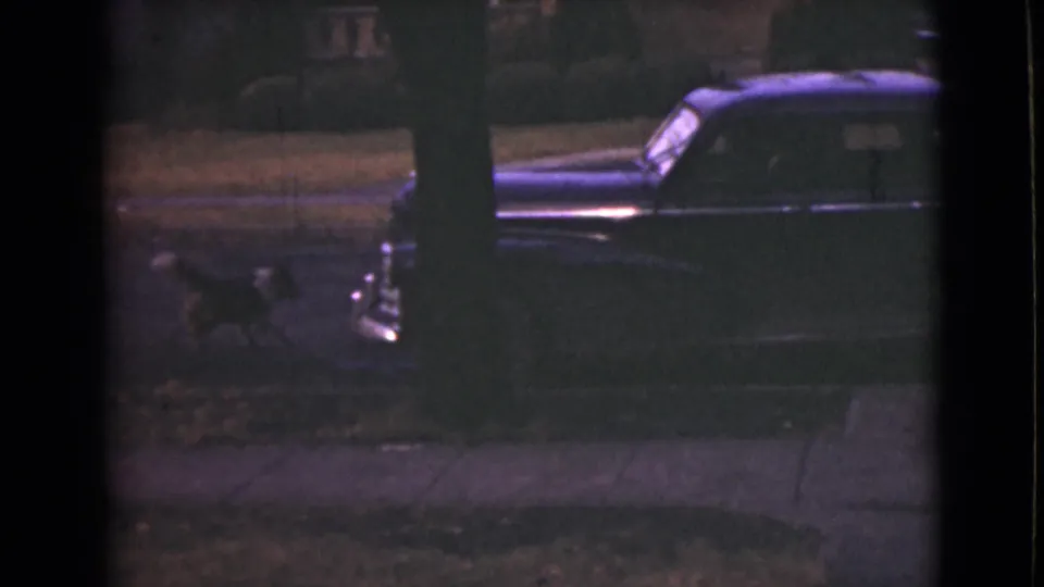 1946 Alaska home-movie frame showing a dog moving along a sidewalk toward a parked blue sedan near a lawn.