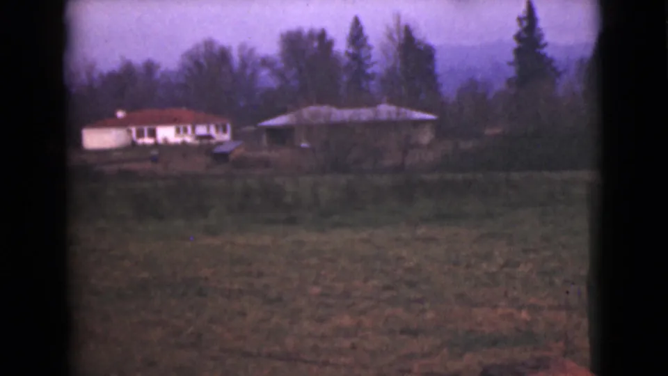 A quiet rural Alaska view shows an open field, small houses, trees, and distant hills in soft twilight color.