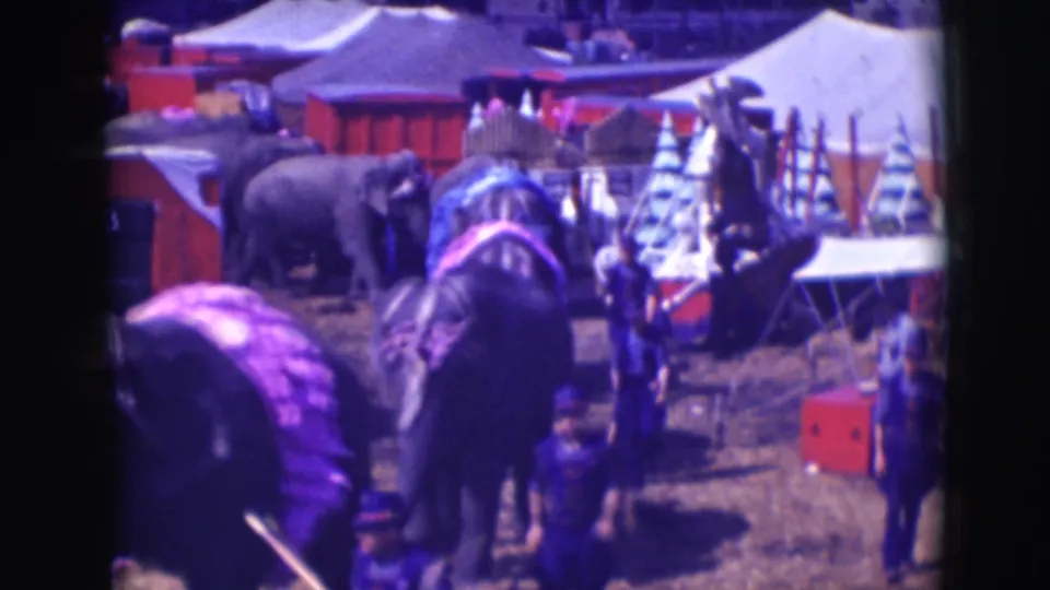 Elephants move through the Ringling Brothers Sarasota circus lot with handlers, tents, and red wagons visible behind them.