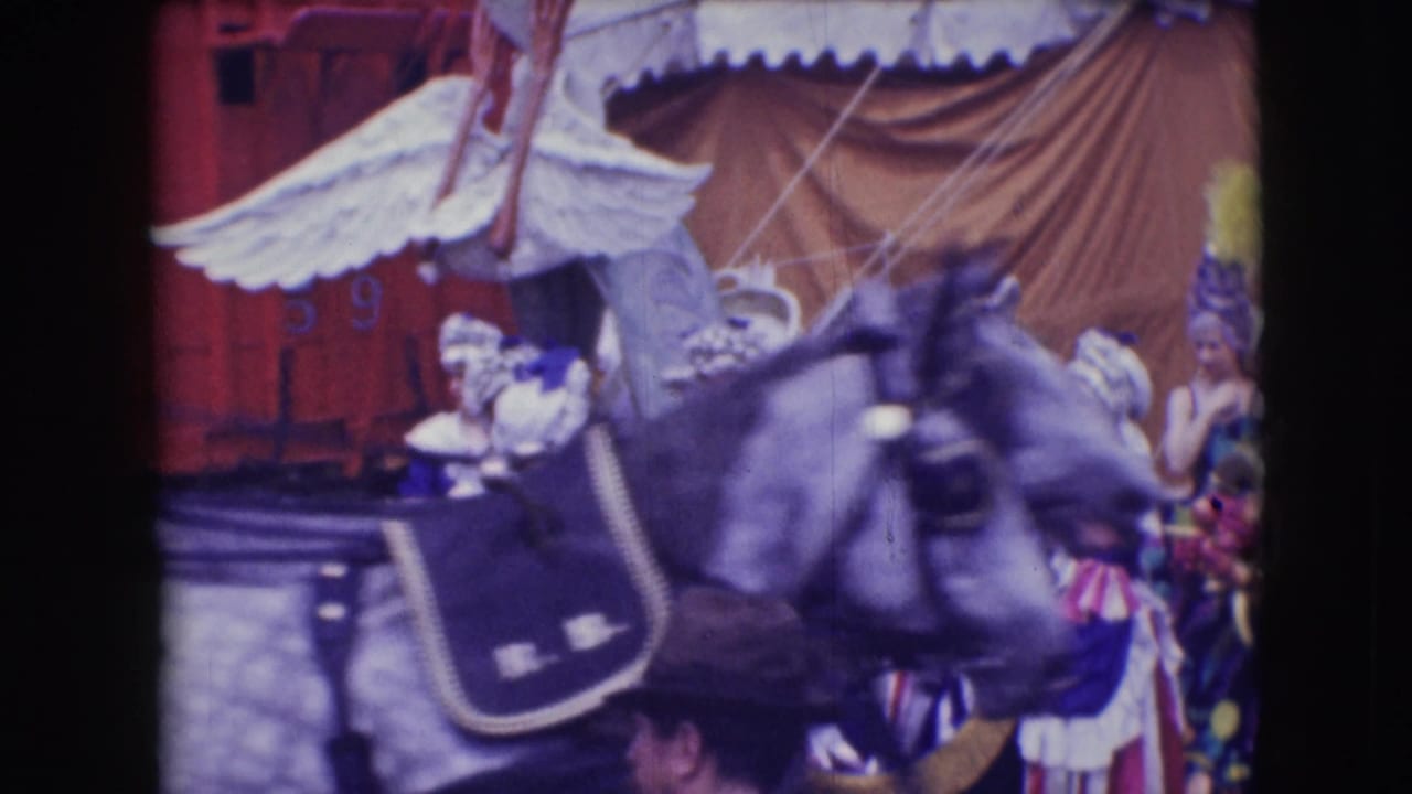 A horse in harness moves past the camera during the 1948 Sarasota circus parade, partly obscuring feathered performers behind it.