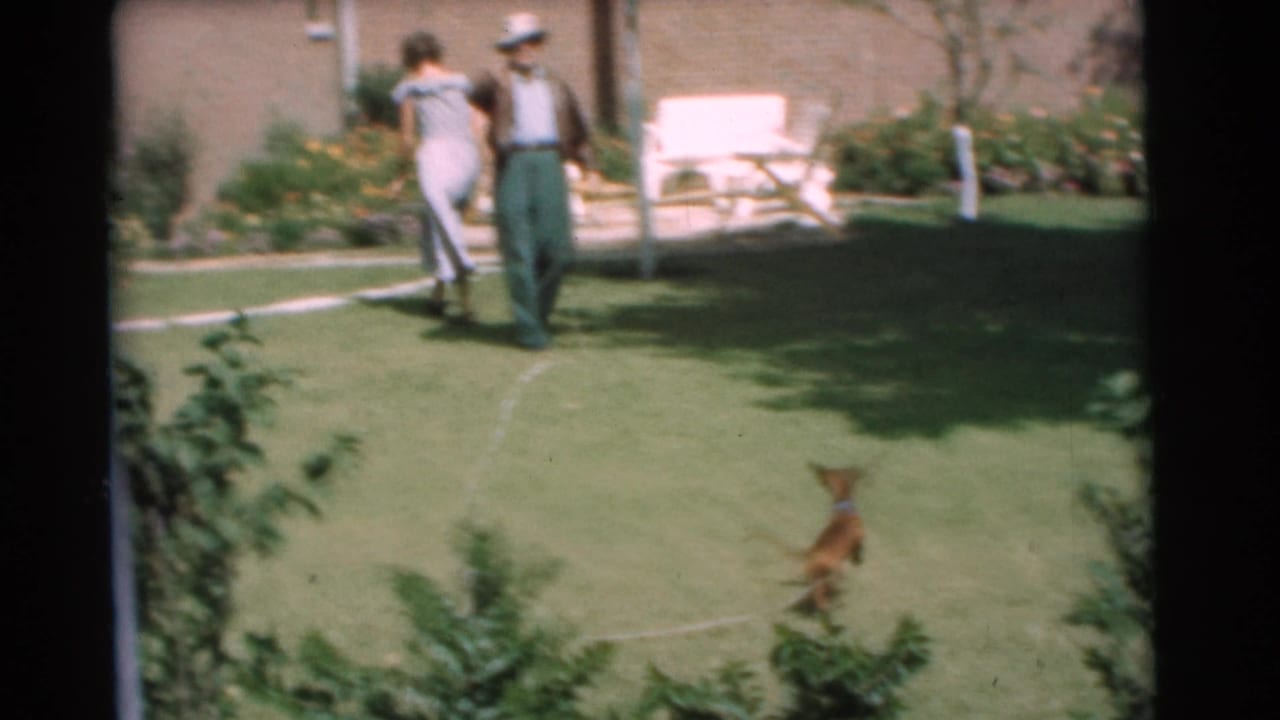 1951 Chatham, New Jersey home-movie frame showing two adults in a sunny backyard as a small brown puppy moves across the lawn.