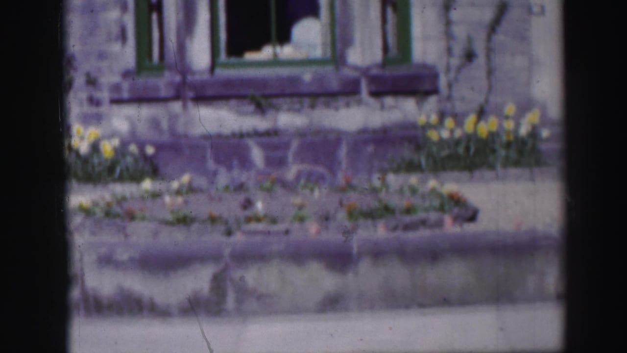 Stone wall with two green-trimmed windows and daffodils planted along a raised bed.