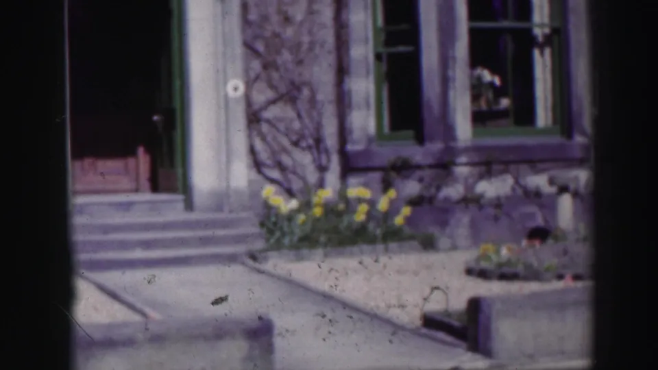 1952 Edinburgh home-movie view of a stone house entrance with steps, green door, window, vine growth, and daffodils.
