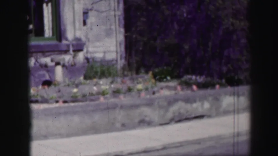 1952 Edinburgh exterior frame showing a green-trimmed window, raised planting bed, spring flowers, hedge, and walkway.