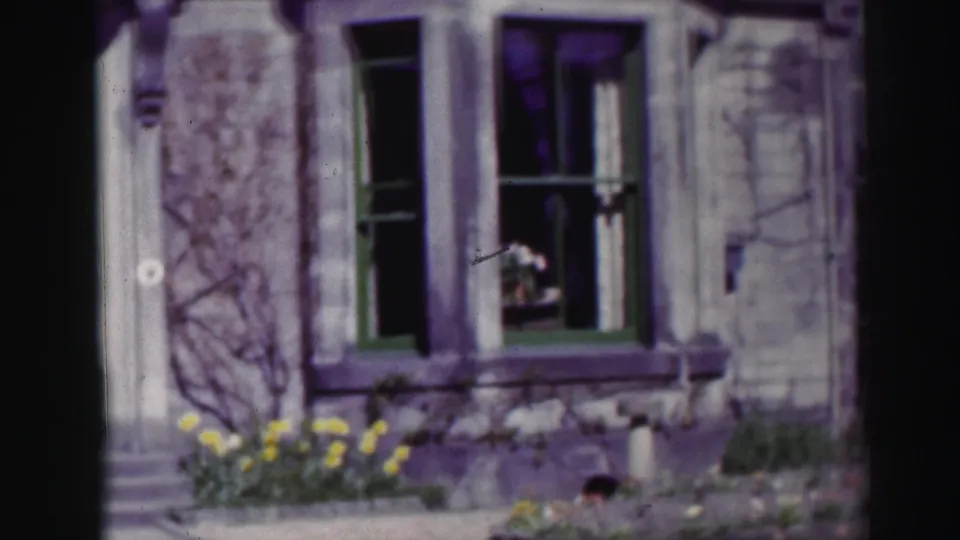 1952 Edinburgh house detail with green sash-style window, weathered stone, bare climbing vines, yellow garden flowers, and front steps.