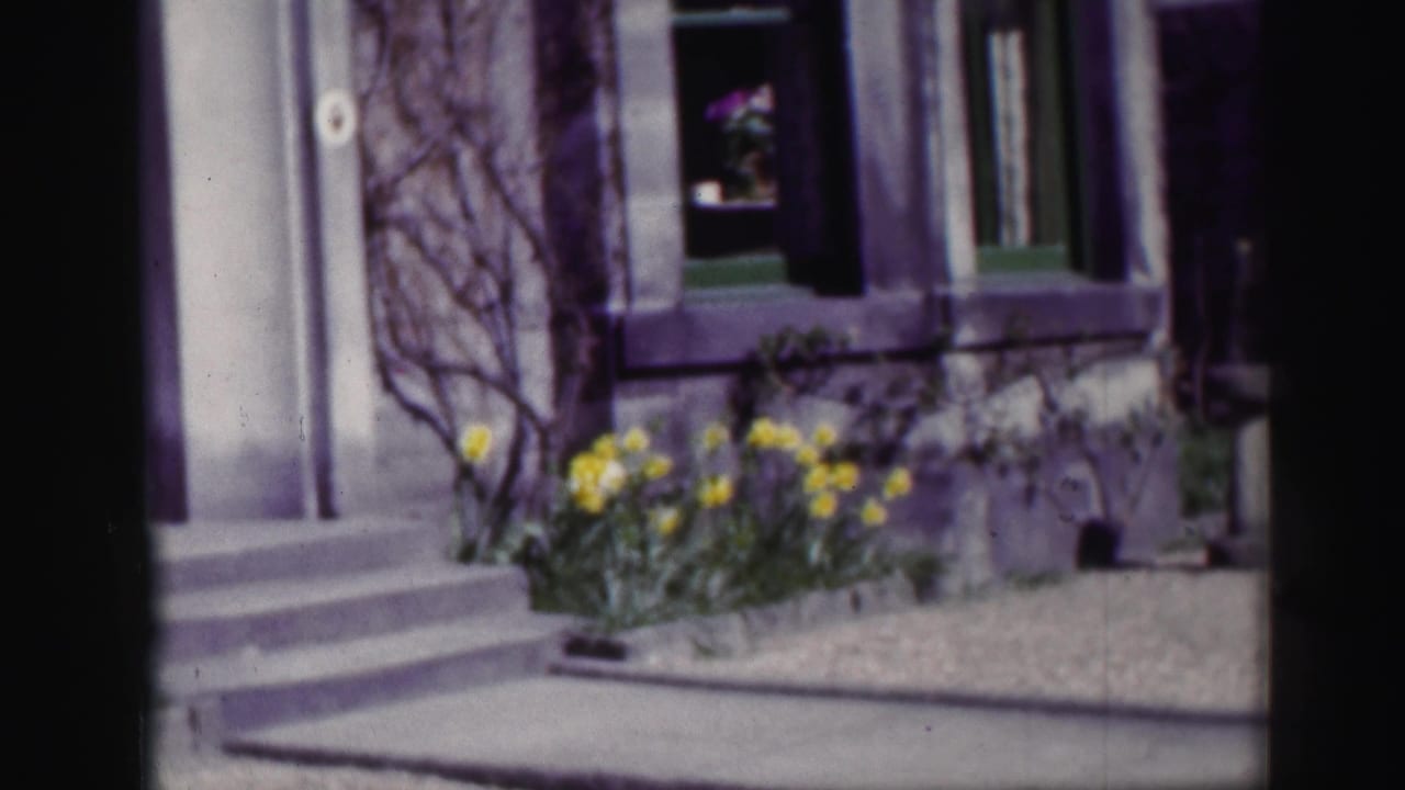 Stone house frontage with steps, window, gravel path and yellow daffodils.