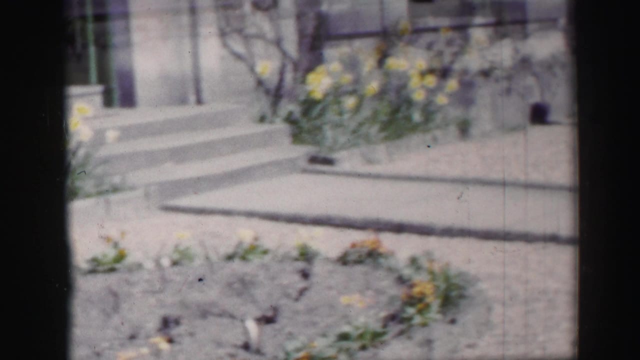 1952 Edinburgh home-movie frame showing porch steps, a gravel path, and soft-focus garden planting near a house exterior.