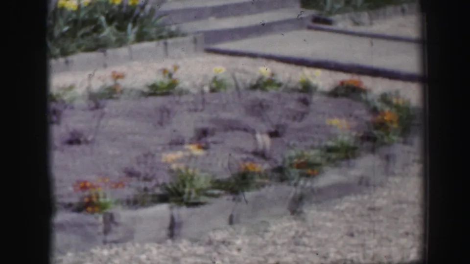 1952 Edinburgh home-movie frame of a front garden bed, low stone edging, gravel, and nearby concrete steps.