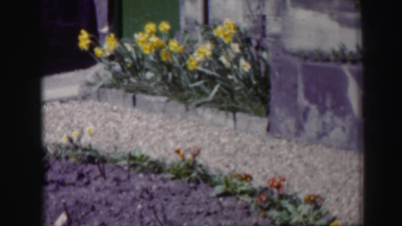 1952 Scotland garden detail with yellow blooms in a raised bed, gravel path, stonework, and a green door in soft 8mm color.
