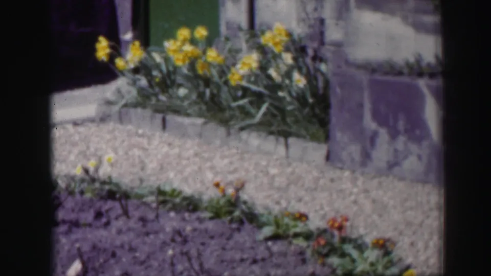 1952 Scotland garden detail with yellow blooms in a raised bed, gravel path, stonework, and a green door in soft 8mm color.