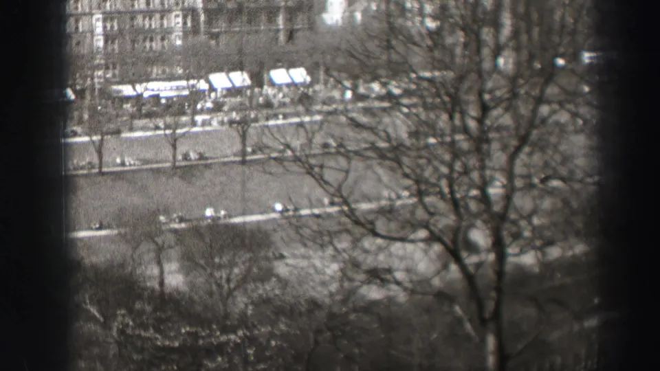 1952 Edinburgh street view with a prominent bare tree in the foreground, distant pedestrians, road markings, and vehicles along the boulevard.
