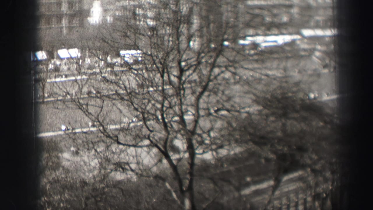 High-angle city view through bare tree branches and dark vertical borders.