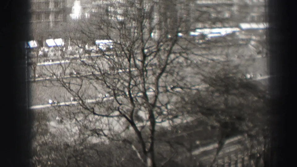 1952 Edinburgh city view from above, seen through bare branches with buildings and street activity in the distance.