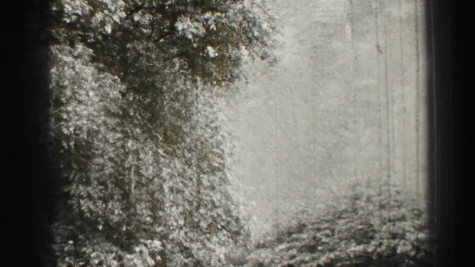 Final 1952 Edinburgh frame with a large tree in front of pale haze and a dark window frame, with heavy grain and scratches.