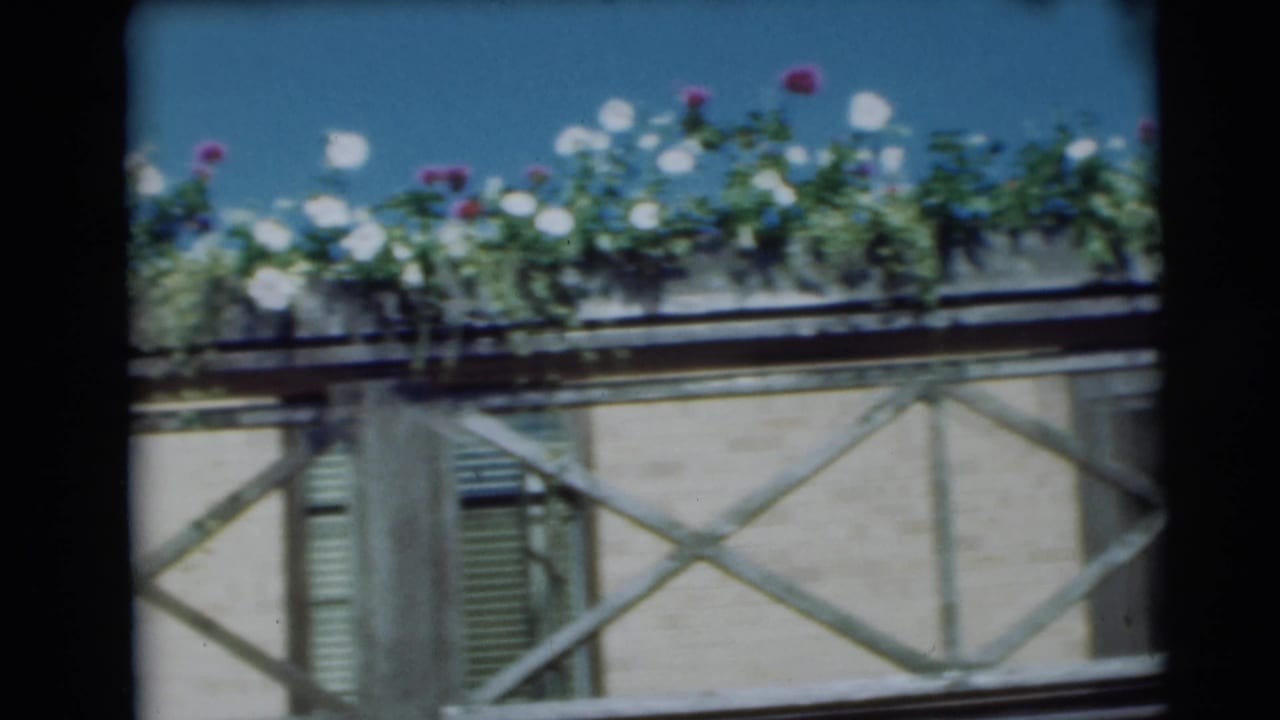 Flower box on a balcony with pale facade, shuttered window, X-braced railing, and blue sky.