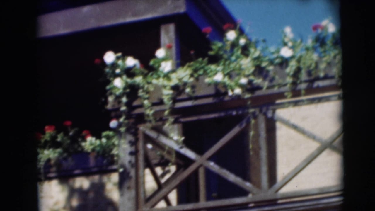 Flower boxes with red and white blooms along a sunlit balcony railing.