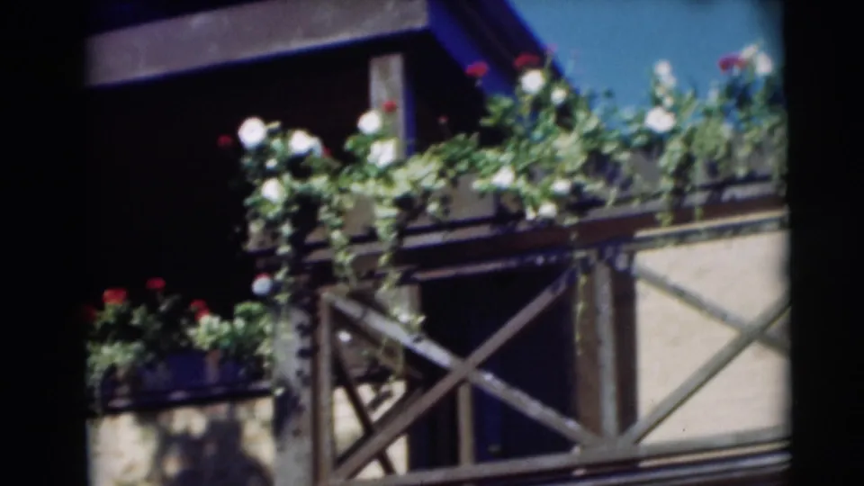 1954 Pennington, New Jersey 8mm frame showing flower boxes and trailing vines on a bright residential exterior.