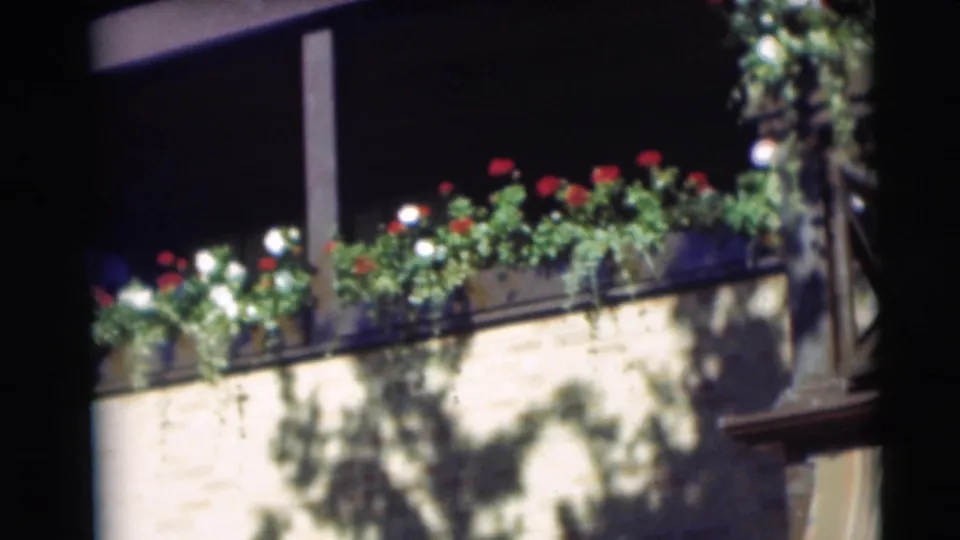 1954 Pennington, New Jersey 8mm still showing blooming window boxes, trailing vines, and shadows across a brick exterior.