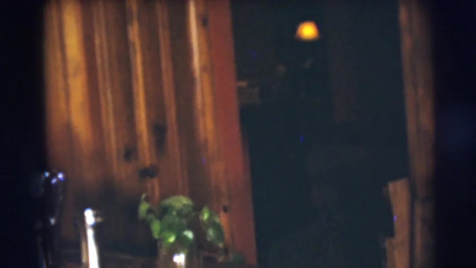 A soft, blurred home interior shows wood paneling, a doorway, a small plant, and dim light at the end of the 1954 clip.