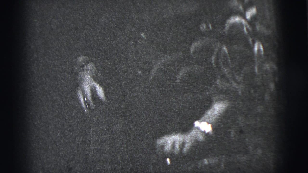 1956 New York City 8mm frame showing indistinct figures near a dark house exterior, with one hand visible at left.