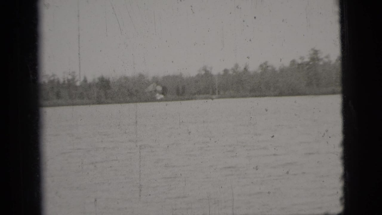 Open water and distant wooded shoreline seen through dark film edges.