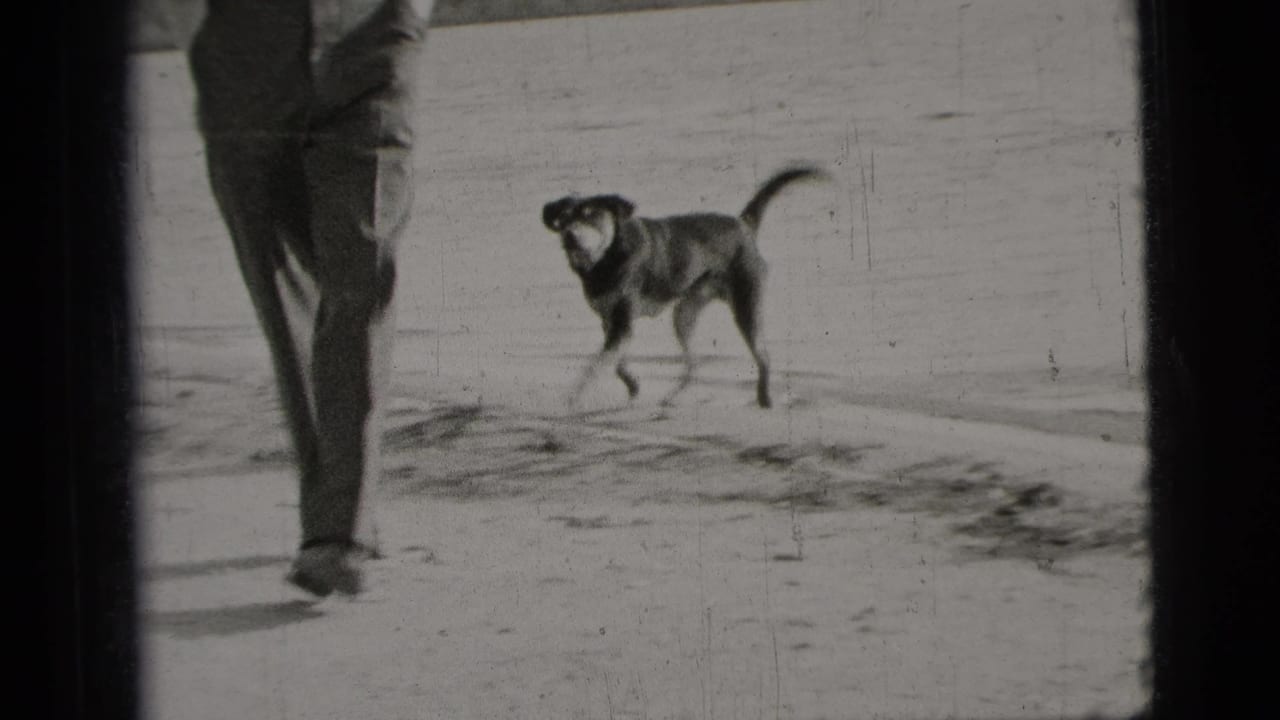 In 1956 New York City home-movie footage, a dark dog runs near an adult man’s legs on a bright open surface.