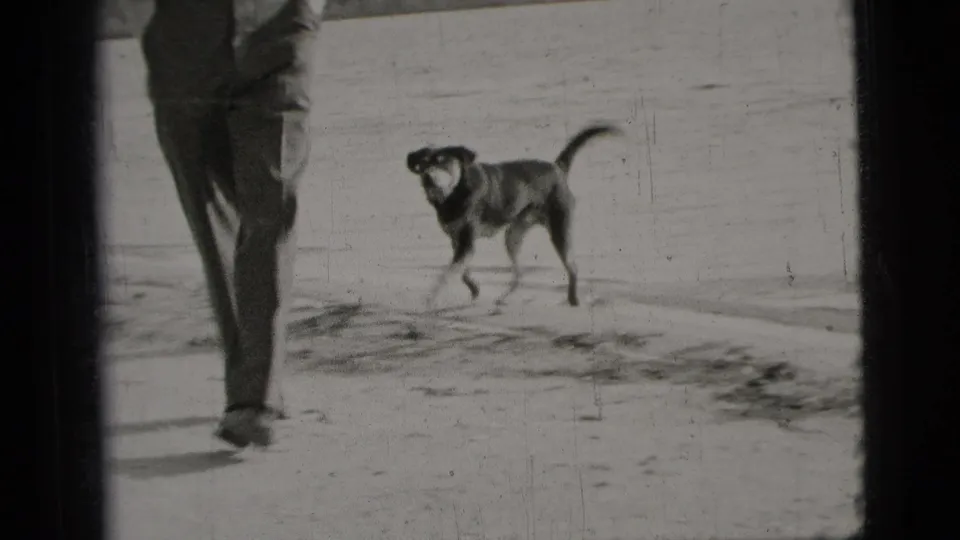 In 1956 New York City home-movie footage, a dark dog runs near an adult man’s legs on a bright open surface.