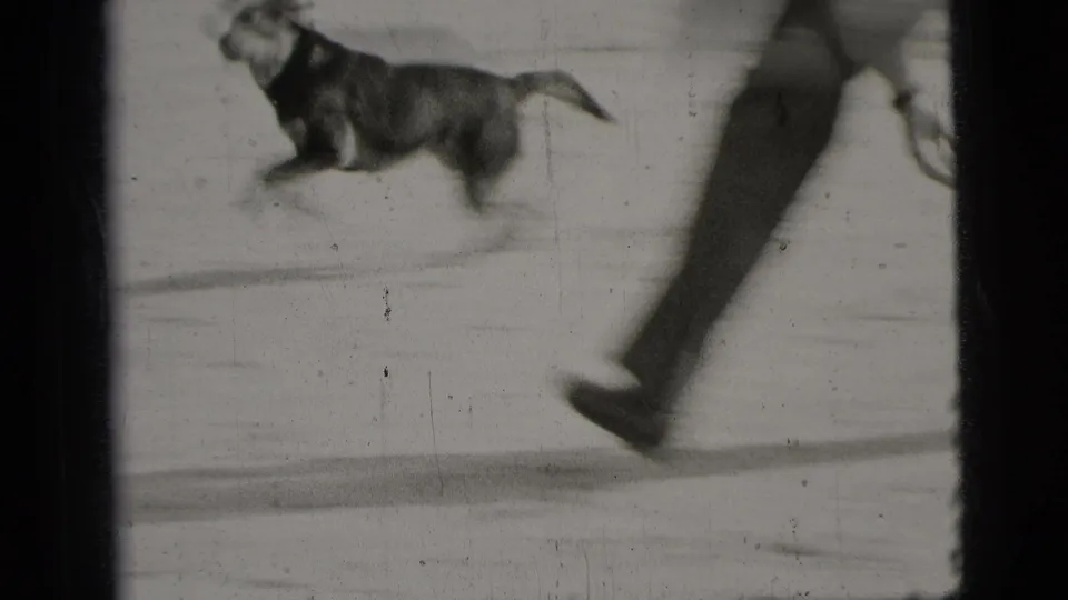 A medium-sized dog runs across open ground as an adult man moves nearby in 1956 New York City home-movie footage.